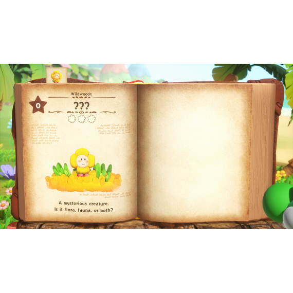 Yoshi and the Mysterious Book / Nintendo Switch 2