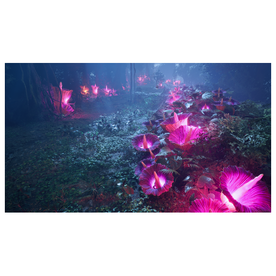 Dragonkin: The Banished / PlayStation 5