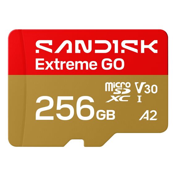 SanDisk Extreme GO 256 GB MicroSDXC UHS-I