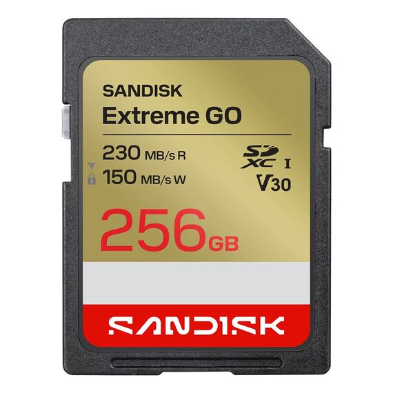 SanDisk Extreme GO 256 GB SDXC UHS-I