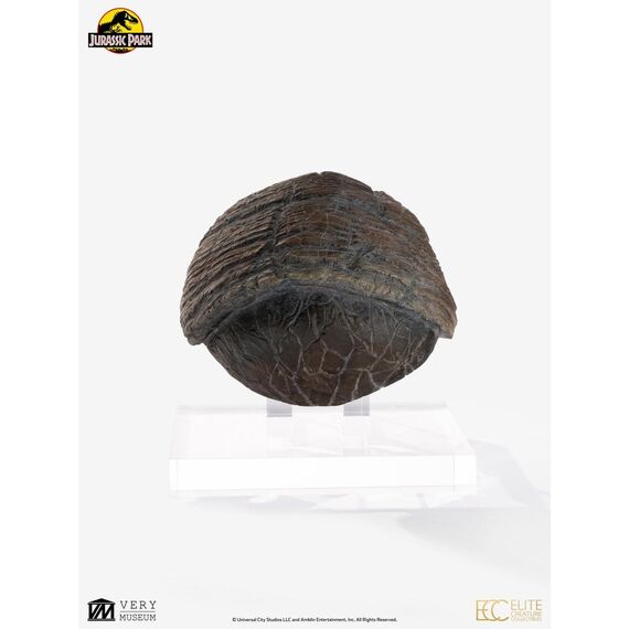 Jurassic Park 1/1 Replica Triceratops Toenail 16 cm