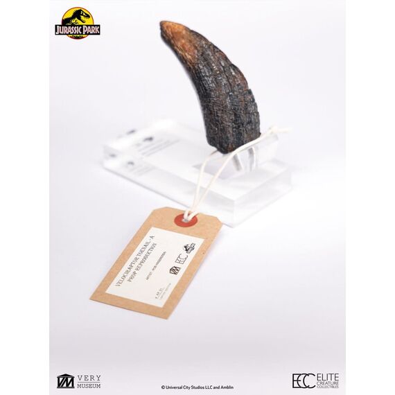 Jurassic Park 1/1 Replica Velociraptor Toenail Type A 11 cm