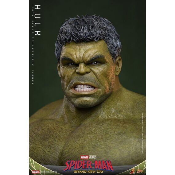 Marvel Action Figure 1/6 Hulk 51 cm