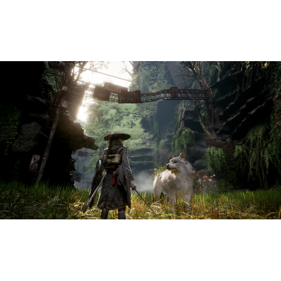 Beast of Reincarnation / PlayStation 5
