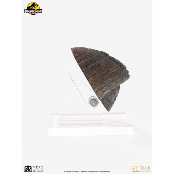 Jurassic Park 1/1 Replica Triceratops Toenail 16 cm
