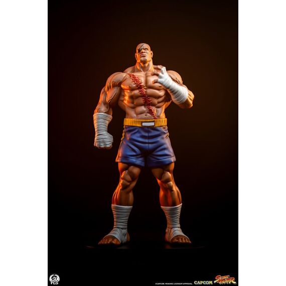 Street Fighter Street Jam Statuen 1/10 Sagat & Juli 24 cm
