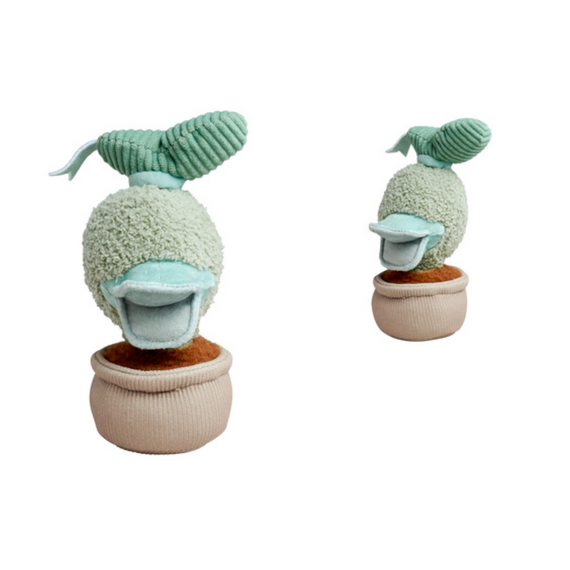DISNEY - Plant Donald - Plush 18 cm