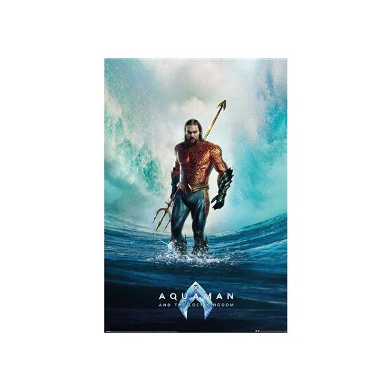 AQUAMAN AND THE LOST KINGDOM - Tempest - Poster 61 x 91cm