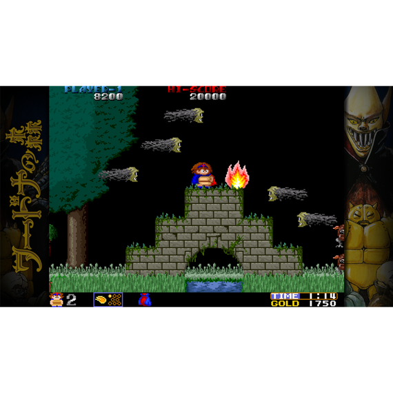 Toaplan Arcade Garage: Flying Fire Shark / Nintendo Switch