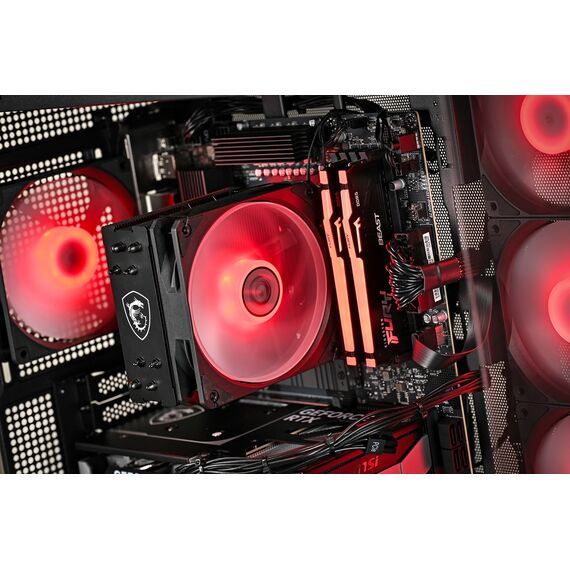 Actina 5901443452126 PC AMD Ryzen™ 5 5600 16 GB DDR4-SDRAM 500 GB SSD NVIDIA GeForce RTX 5060 Windows 11 Home Midi Tower Black