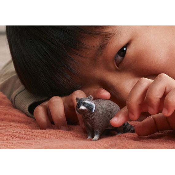Schleich - Wild Life - Raccon (14937) /