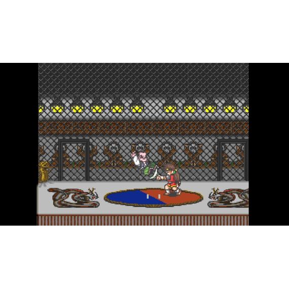 Aero The Acro-Bat Legacy + Sunsoft Lost Gems / Nintendo Switch