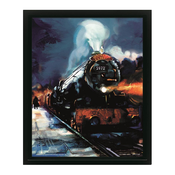 HARRY POTTER - Hogwarts Express - 3D Lenticular Poster 29x24x4cm
