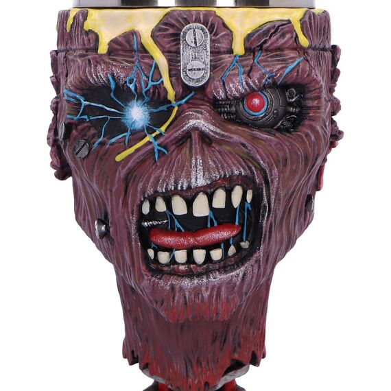 IRON MAIDEN - Can i play with Madness - Goblet