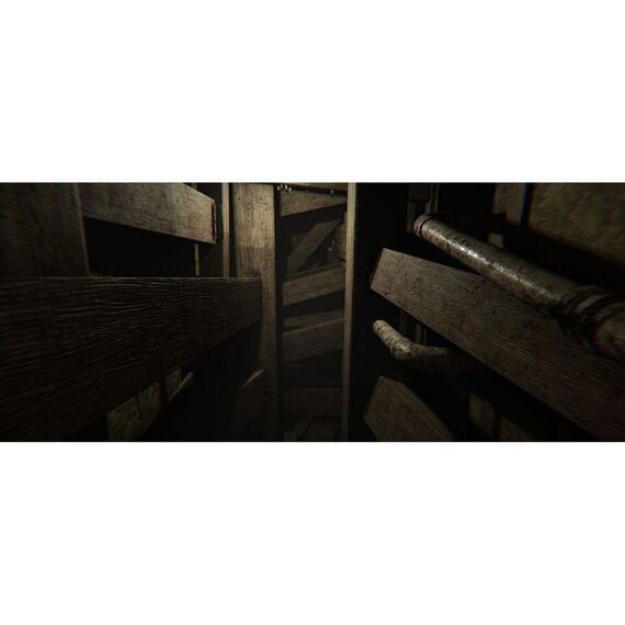 MADiSON - Possessed Edition / PlayStation 5 - PlayStation 5 - PlayStation 5 - Games - BLOODIOUS GAMES - Horror - Deluxe Editi...