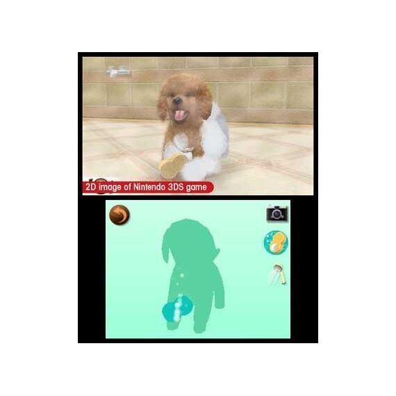 Nintendogs and Cats 3D: Toy Poodle (Select) / Nintendo 3DS - Nintendo 3DS - Nintendo 3DS - Games - Nintendo - Casual - Select...