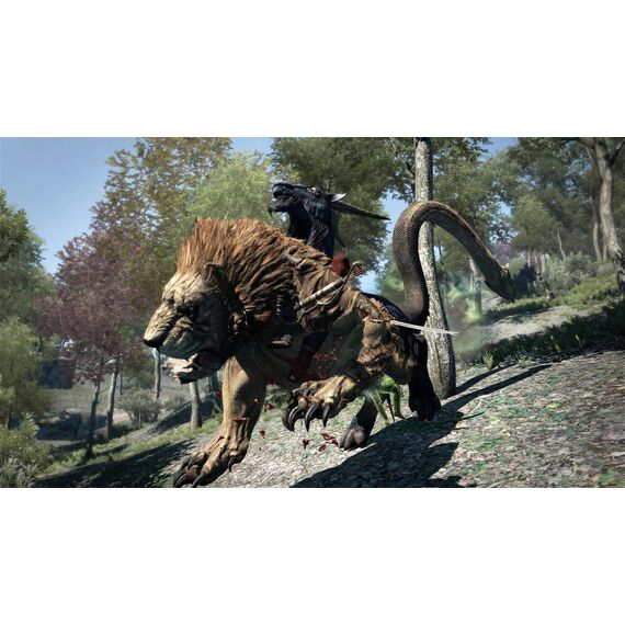 Dragon's Dogma: Dark Arisen Remaster / PlayStation 4 - PS4 Games - Games - Techbox