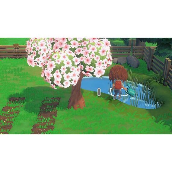 Hokko Life / Nintendo Switch - Nintendo Switch Games - Games - Techbox