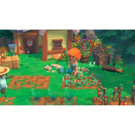 Hokko Life / Nintendo Switch - Nintendo Switch Games - Games - Techbox