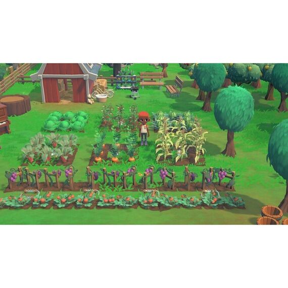 Hokko Life / Nintendo Switch - Nintendo Switch Games - Games - Techbox