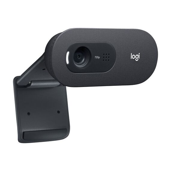 Logitech - C505e HD Webcam, brownbox / Computers | Techbox