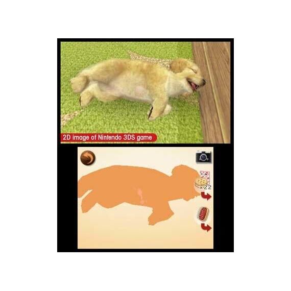 Nintendogs and Cats 3D: Golden Retriever (Select) - Nintendo 3DS - Nintendo 3DS - Games - Nintendo - Casual - Selects - Produ...