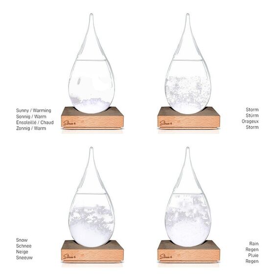 Storm Glass – Globe (04290) / Gadgets