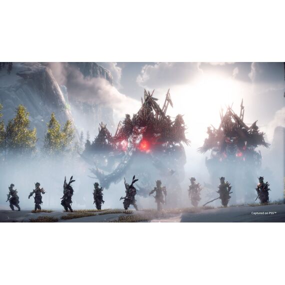 Horizon Forbidden West / PlayStation 4 - PS4 Games - Games - Techbox