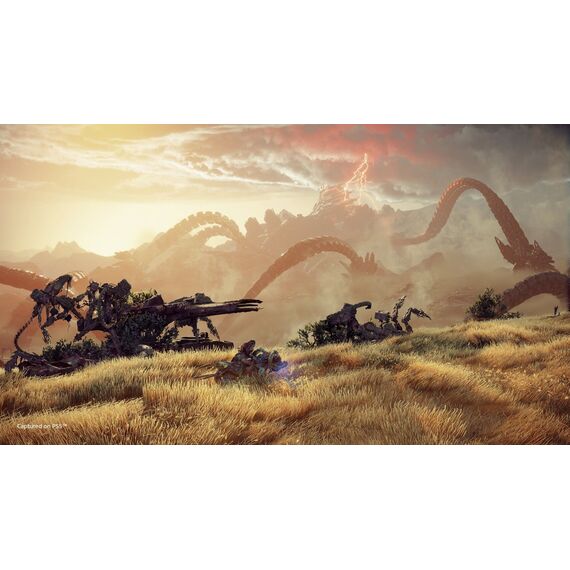 Horizon Forbidden West / PlayStation 4 - PS4 Games - Games - Techbox