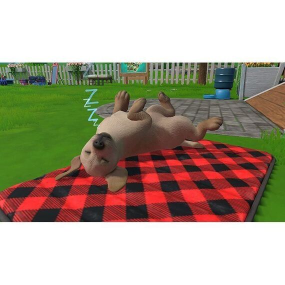 Little Friends: Puppy Island / Nintendo Switch - Nintendo Switch Games - Games - Techbox
