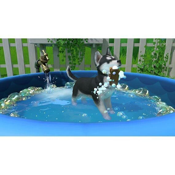 Little Friends: Puppy Island / Nintendo Switch - Nintendo Switch Games - Games - Techbox