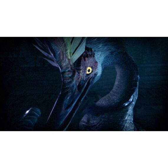 Monster Hunter Rise / Nintendo Switch - Nintendo Switch Games - Games - Techbox