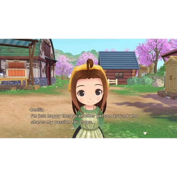 Story of Seasons: A Wonderful Life / Nintendo Switch - Nintendo Switch Games - Games - Techbox