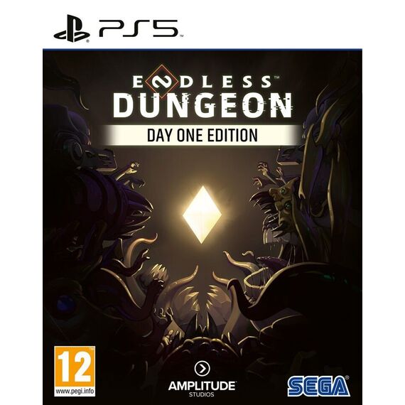 Endless Dungeon (Day One Edition) / PlayStation 5 - PS5 Games - Games - Techbox