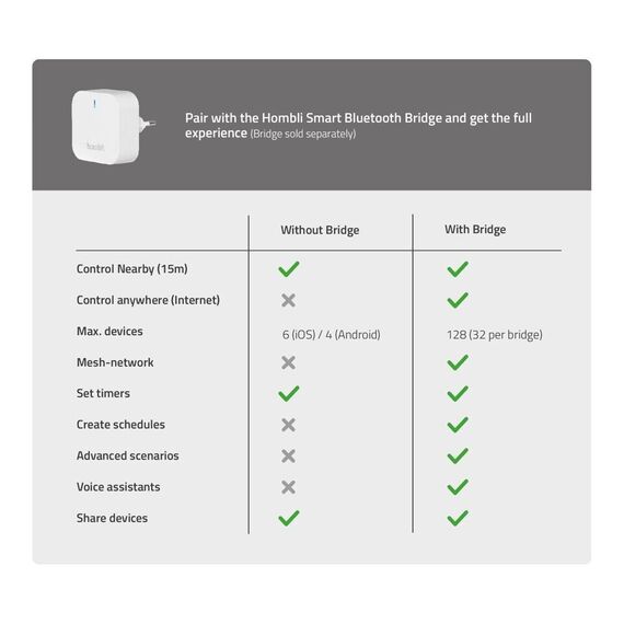 Hombli - Outdoor Smart Spot Light - Single / Electronics