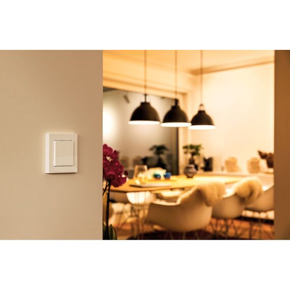 Eve Light Switch - Connected Wall Switch with Apple HomeKit technology / Home and Kitchen - Αταξινόμητα -  - Techbox