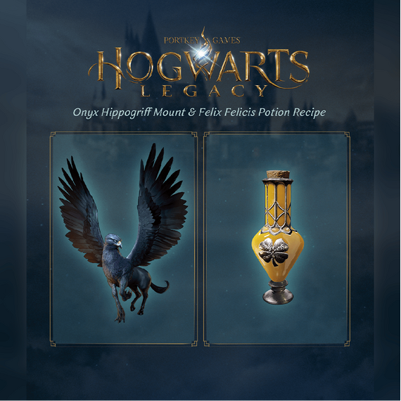 Hogwarts Legacy / PlayStation 4 | Techbox