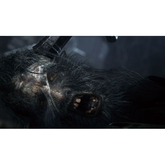 Bloodborne (Game of the Year Edition) (UK/AR) / PlayStation 4 - PS4 Games - Games - Techbox