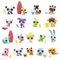LITTLEST PET SHOP - PET SURPRISE ASS CDU (00501) / Toys