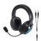 Speedlink - TYRON RGB Gaming Stereo Headset - for PC/PS5/PS4/Xbox Series X/S/Switch/OLED/Lite , black / Electronics
