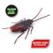 Robo Alive - Robotic - S2 Cockroach, Bulk (7152) / Toys