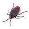 Robo Alive - Robotic - S2 Cockroach, Bulk (7152) / Toys