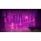 TALES OF THE NEON SEA COL EDT / PlayStation 4 - PS4 Games - Games - Techbox