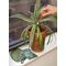 Plant Care Tin / Gadgets - Αταξινόμητα -  - Techbox