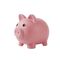iTotal - Piggy Bank - Piggy (XL2497) / Toys