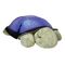 Cloud B - Twilight Turtle - Classic Mocha (CB7323-ZZ) / Toys