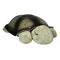Cloud B - Twilight Turtle - Classic Mocha (CB7323-ZZ) / Toys