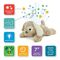 Cloud B - Dream Buddies - Puppy ( CB7472-PP) / Toys