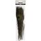 DIY Kit - Peacock feathers 10pc (51810) / Toys