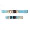 World Traveler Luggage Straps (TT57) / Gadgets